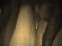 V&iacute;deo do Marcelo se comentar posto mais